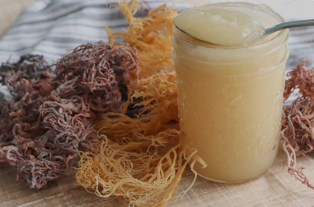 The Vitamin-Rich Profile of Irish Sea Moss: Nature's Multivitamin from the Ocean