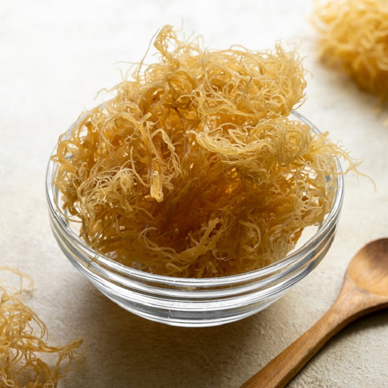 Golden sea moss